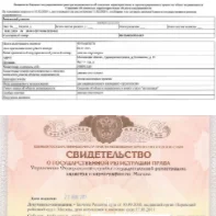 Выписка ЕГРН или свидетельство о праве на собственность